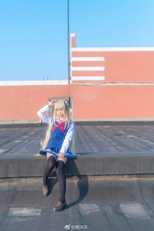 红豆杉价格多少钱一棵?红豆杉有哪些价值用途?-球王会平台官网(图2) 球王会官网